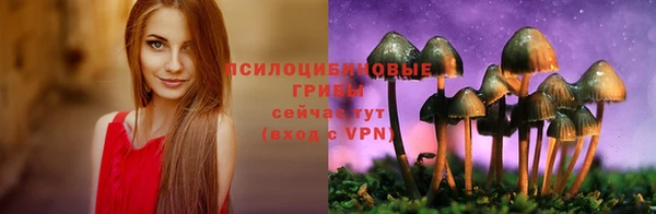 скорость Володарск