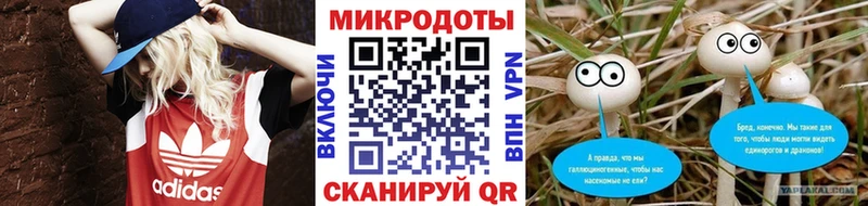 Псилоцибиновые грибы прущие грибы  hydra   Кызыл  наркота 