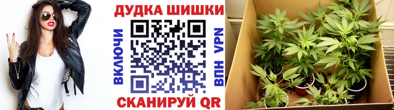 Шишки марихуана тримм мега вход Кызыл закладки